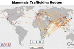 Mammals Trafficking Routes