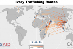 Ivory Trafficking Routes