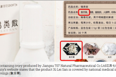 Patent containing Ivory