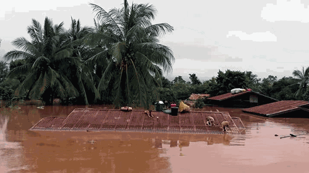 Dogs take refuge on a rooftop above floodwaters from a collapsed dam in southern Laos’ Attapeu province, July 24, 2018.  Credit: Associated Press