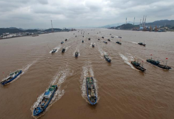 An Investigation into the Dubious Chinese Distant-Water Fishing Fleet (DWF)