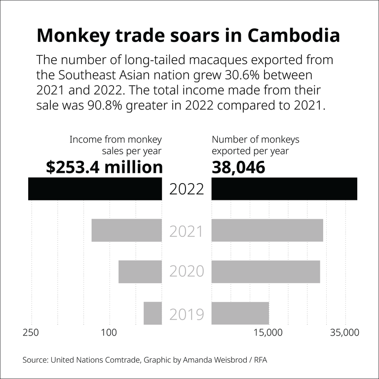 5 cd-monkey-trade_v004.png