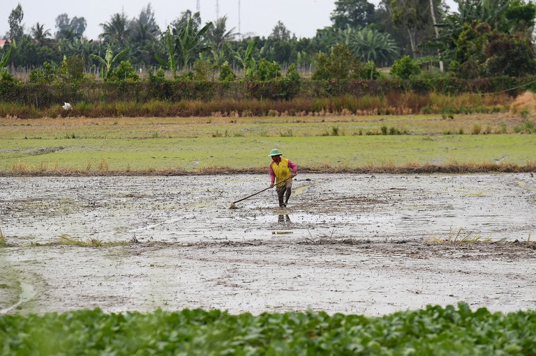 A farmer works in a paddy field in Can Tho city in southern Vietnam's Mekong Delta. Feb. 28, 2023. Credit: Nhac Nguyen/AFP
