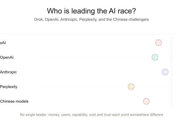 Who Is Leading the AI Race? Grok, OpenAI, Anthropic, Perplexity, and the Chinese Challengers